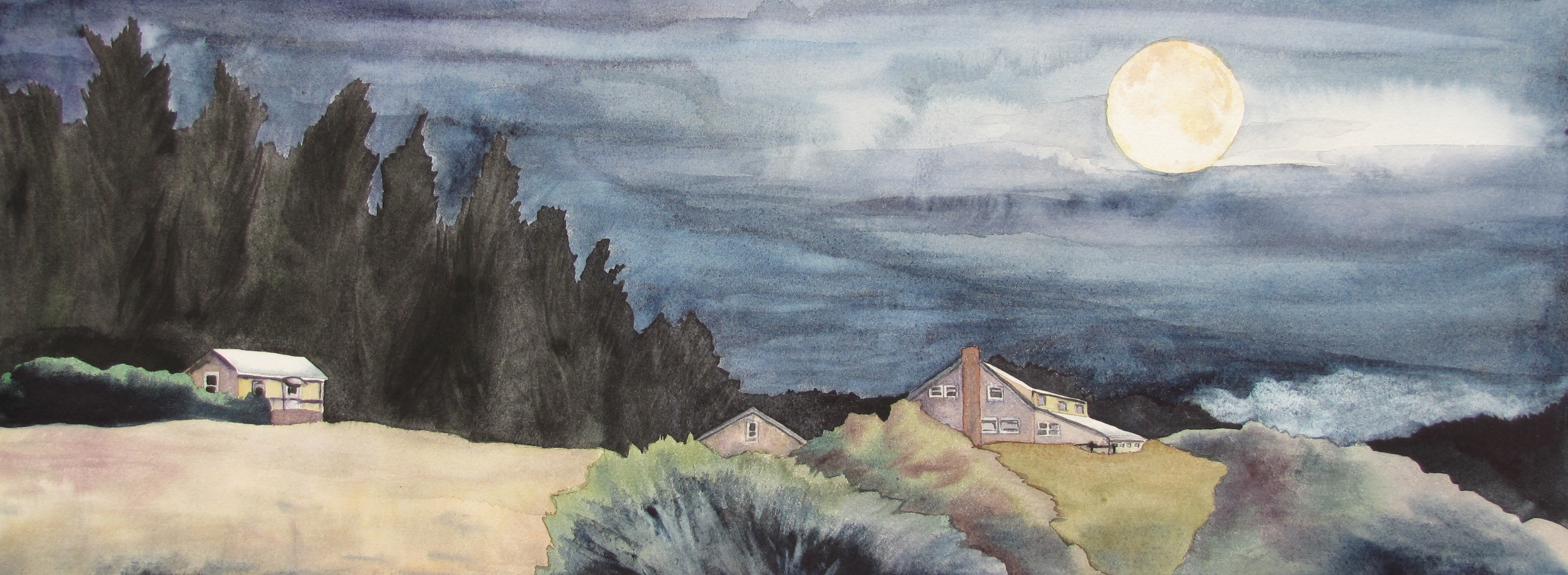 Big Moon in June.JPG