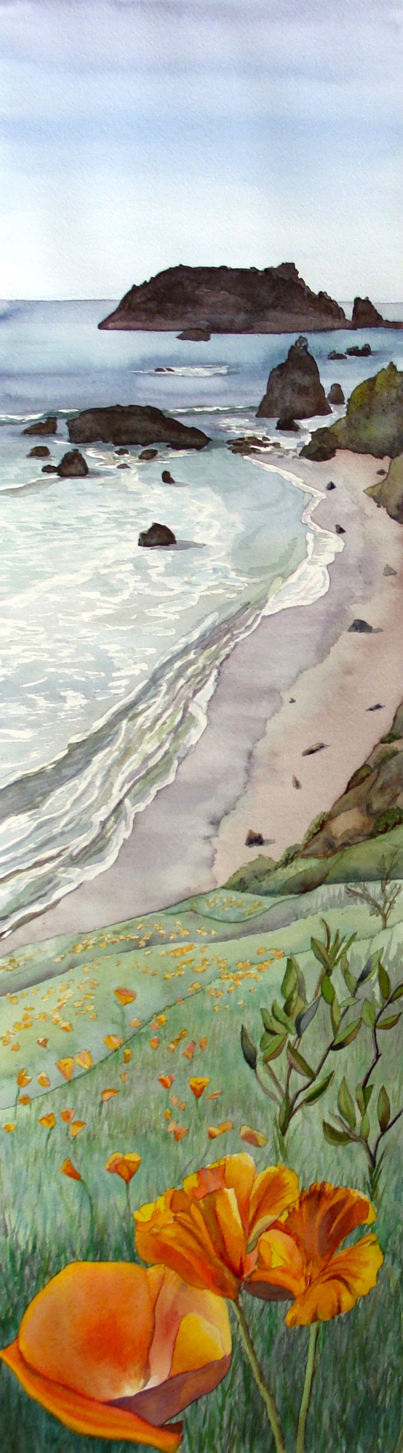 Calif Poppies copy.jpg