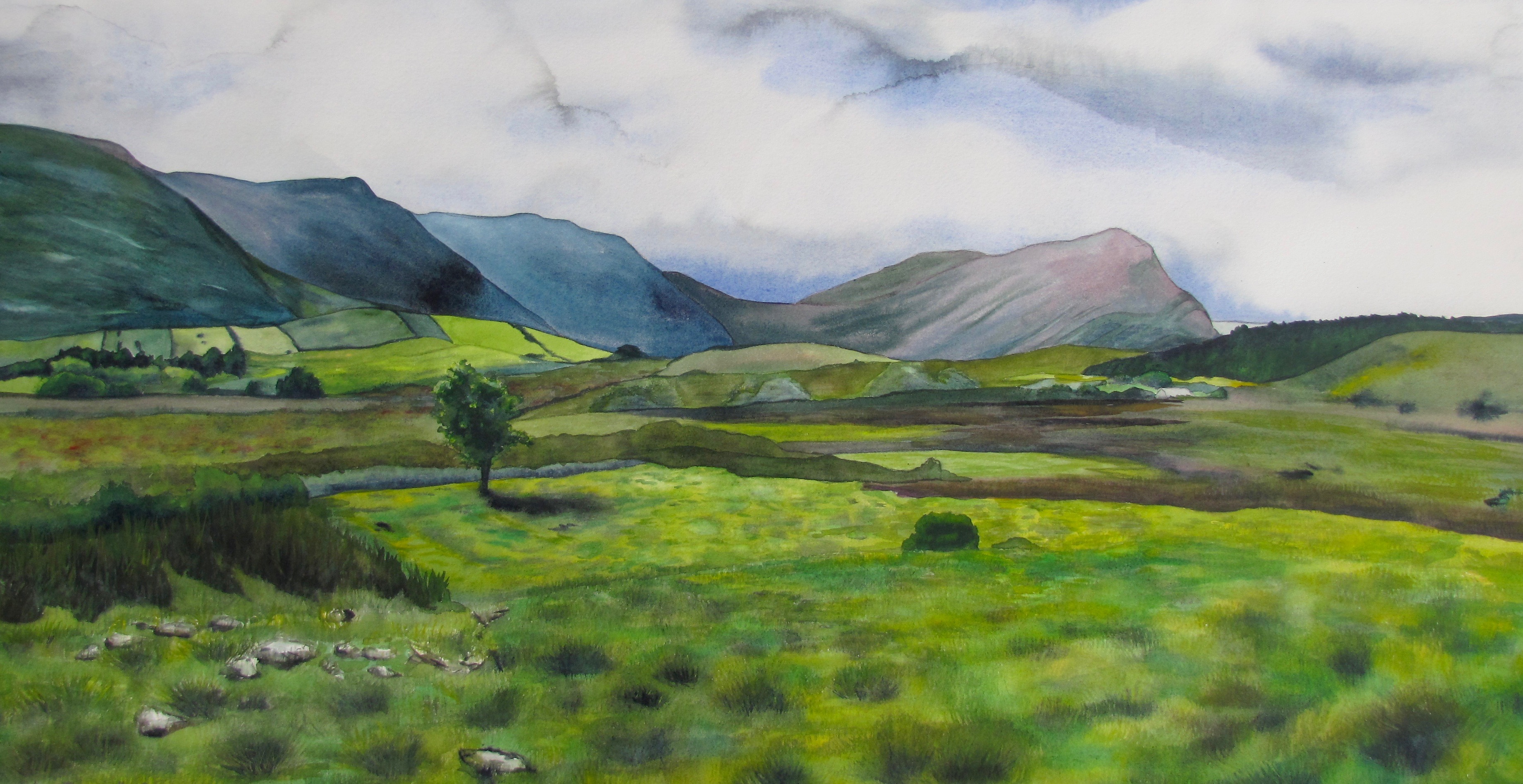 Faerie Tree in the Connemara