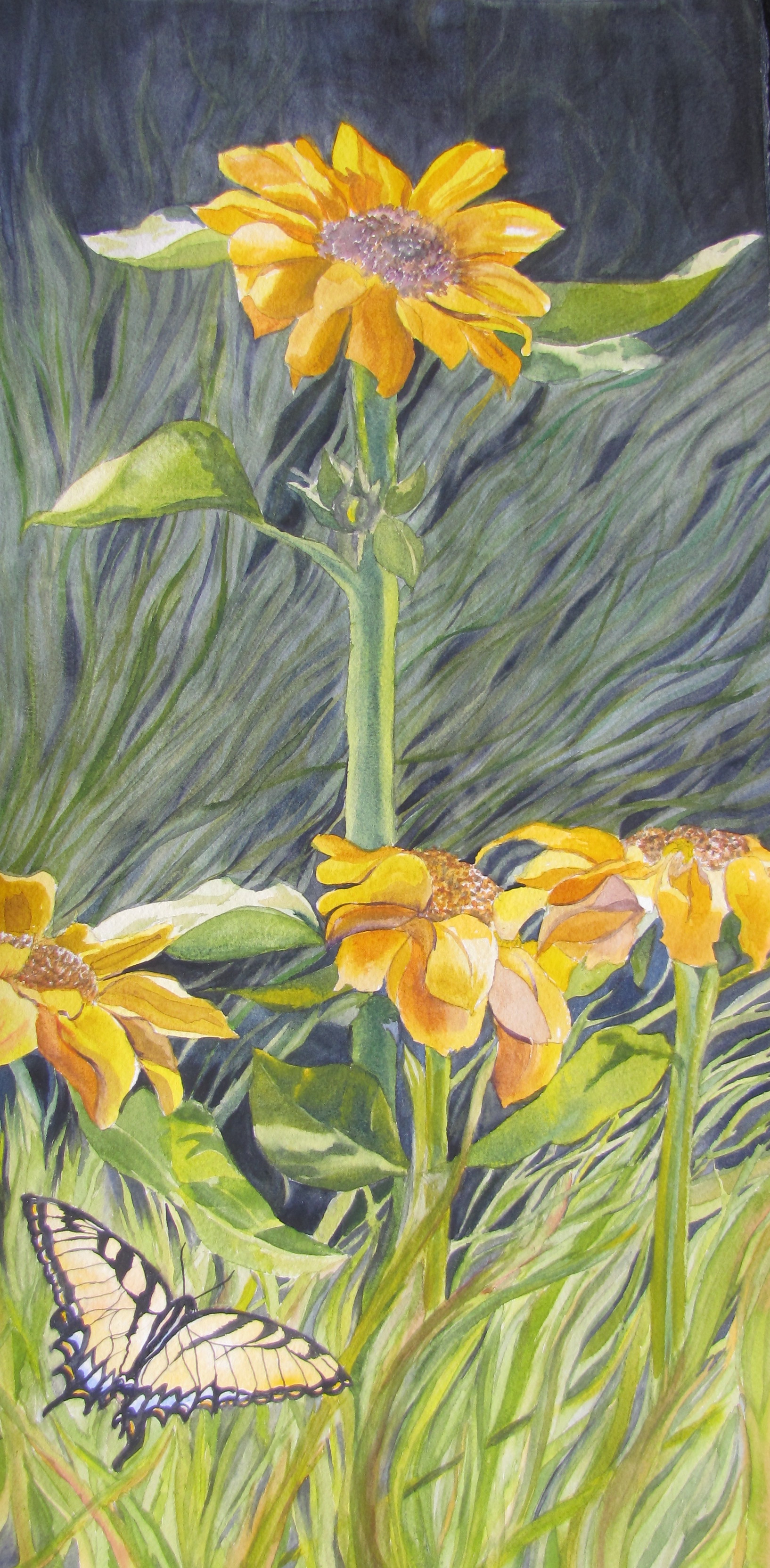 Just when Caterpillar thought her life was over, she began to fly.JPG